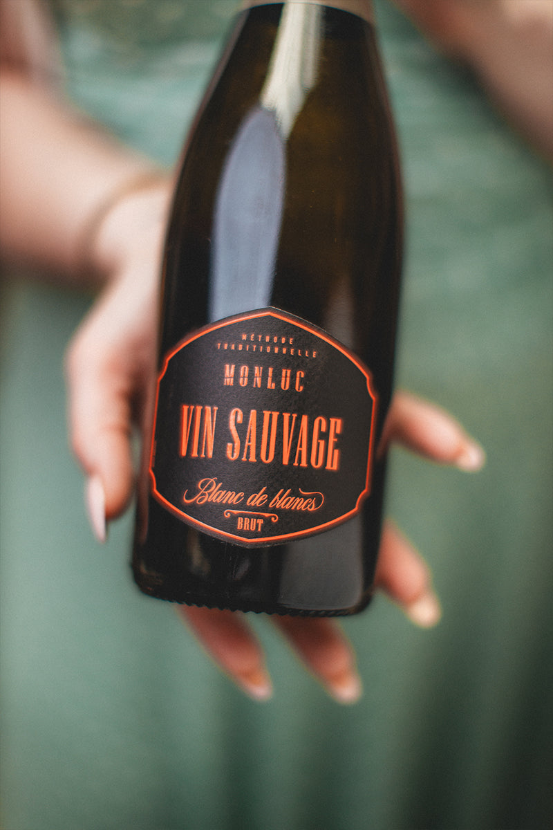 Vin Sauvage von Château Monluc guter wein geile weine close up
